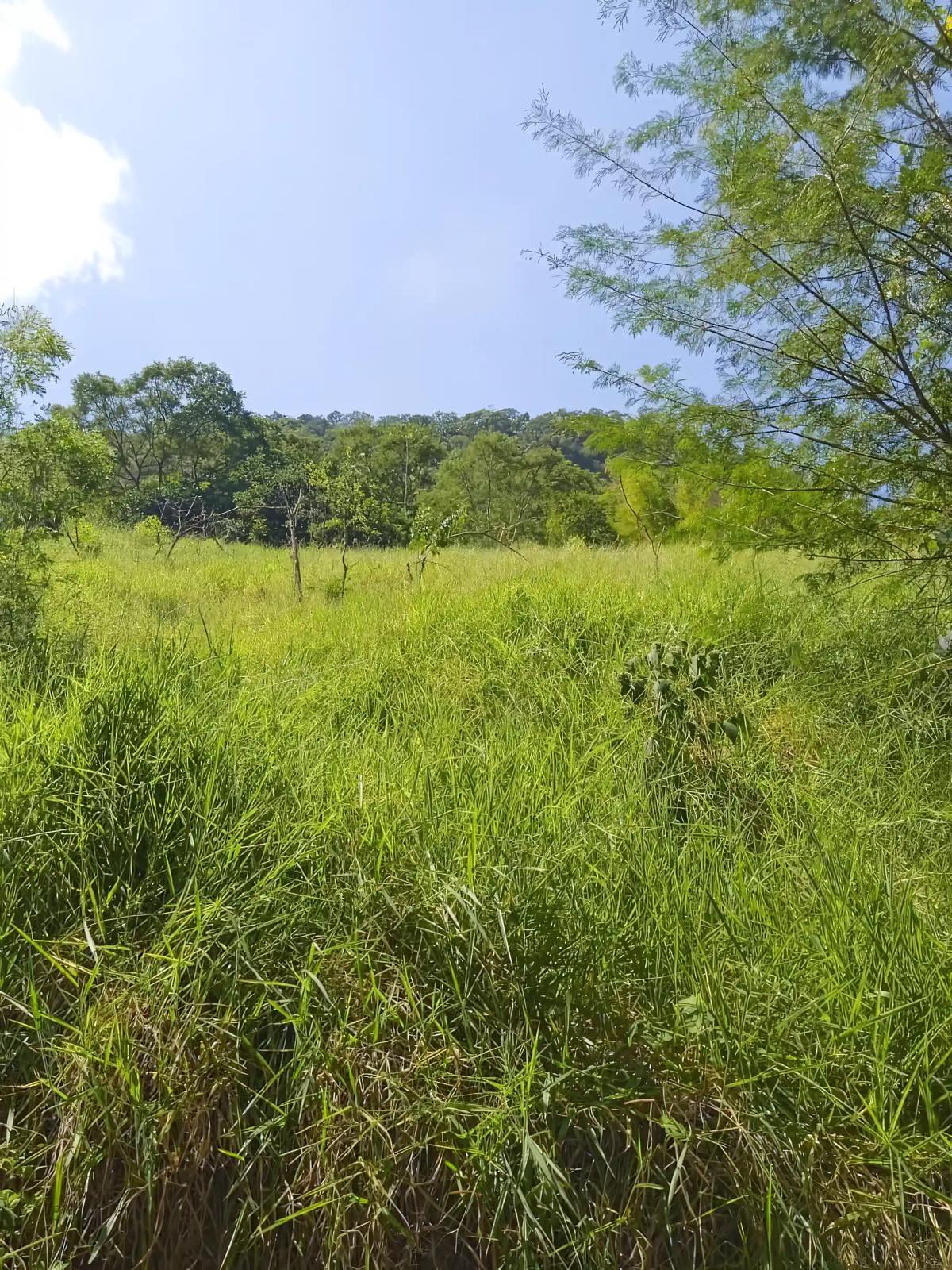 Grass meadow under a mountain