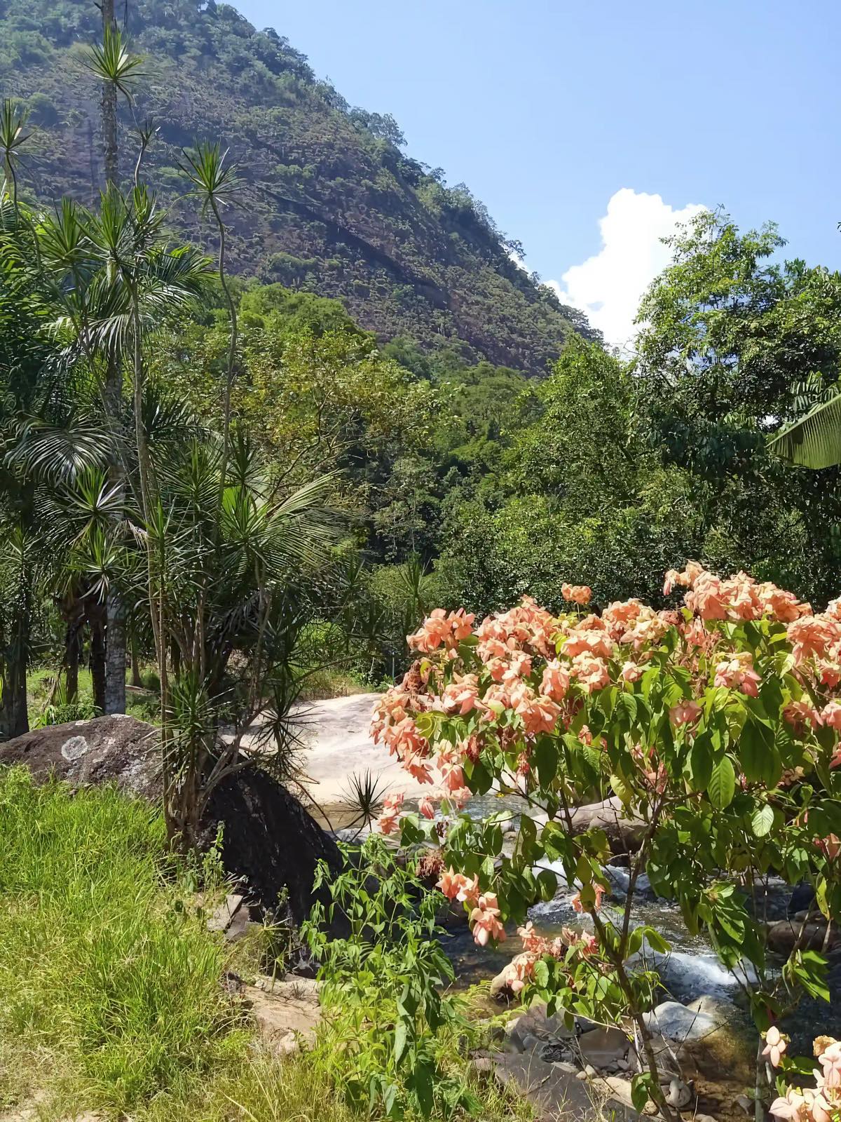 River and mountain peak