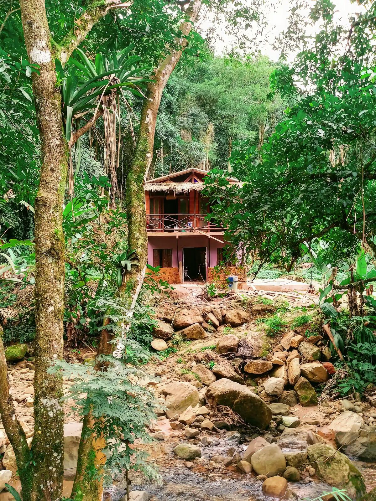 Wooden house among jungle trees